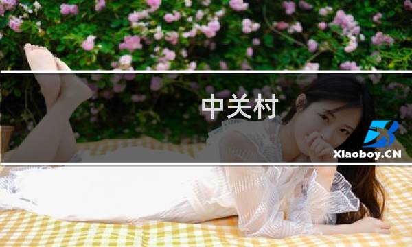 中关村 笔记本(笔记本电脑排行榜中关村)